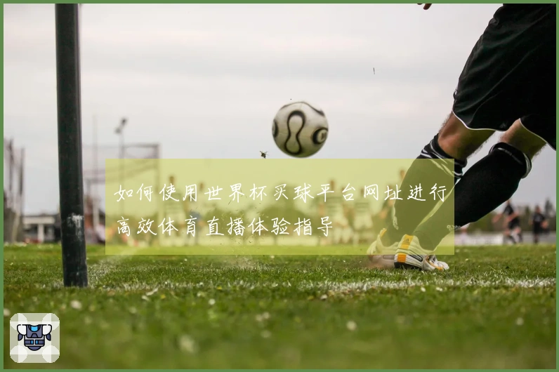 如何使用世界杯买球平台网址进行高效体育直播体验指导
