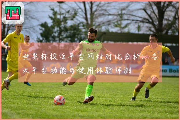 世界杯投注平台网址对比分析:各大平台功能与使用体验评测