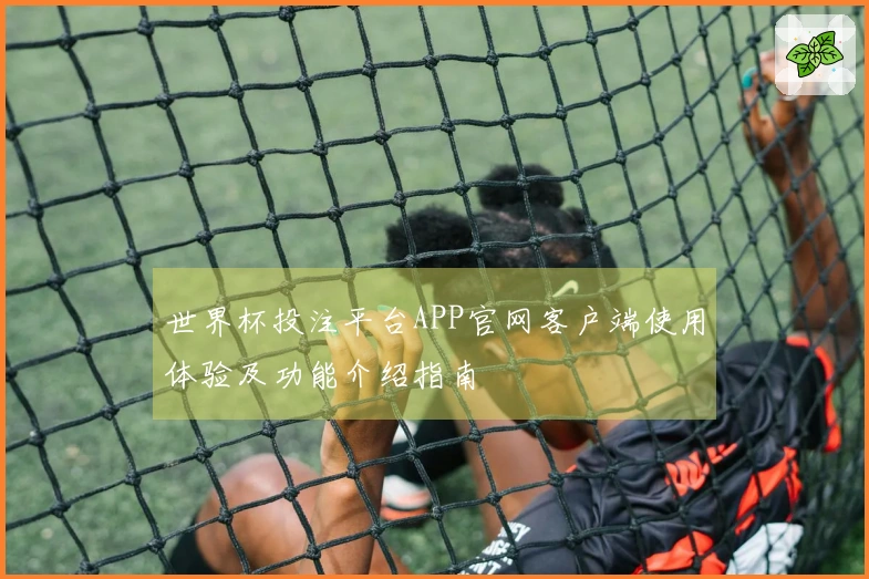 世界杯投注平台APP官网客户端使用体验及功能介绍指南