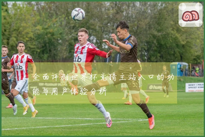 全面评测世界杯竞猜主站入口的功能与用户体验分析