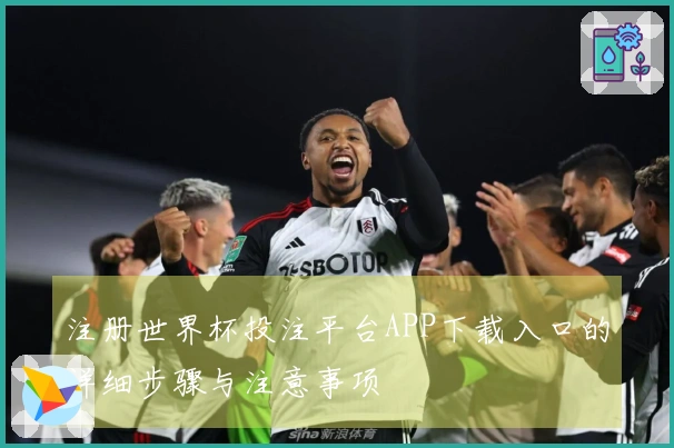 注册世界杯投注平台APP下载入口的详细步骤与注意事项