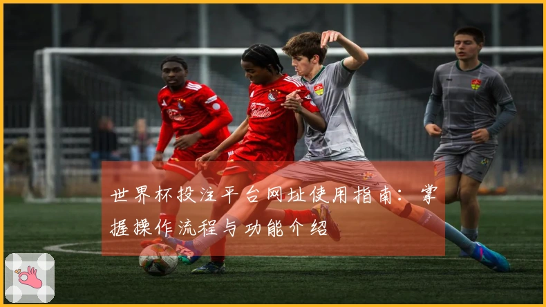 世界杯投注平台网址使用指南：掌握操作流程与功能介绍
