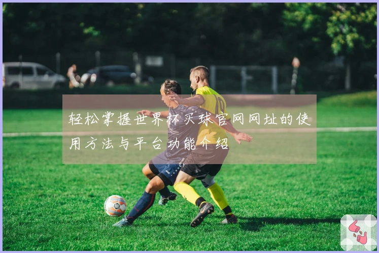 轻松掌握世界杯买球官网网址的使用方法与平台功能介绍